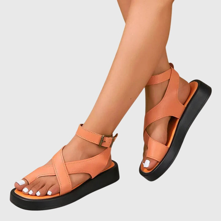Orange / 35